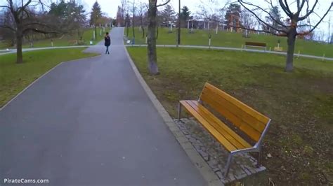 public park blowjob|Public Park Blowjob Porn Videos 